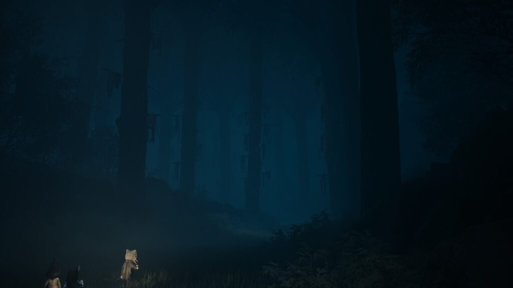 REANIMAL Ambiance Forêt