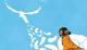 Jaquette AER: Memories of Old