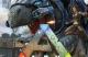 Jaquette Ark: Survival Evolved