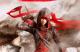Jaquette Assassin's Creed Chronicles: China