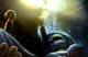 Jaquette BioShock