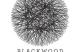 Jaquette Blackwood Crossing