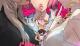 Jaquette Catherine: Full Body