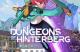 Jaquette Dungeons of Hinterberg