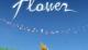 Jaquette Flower