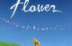 Jaquette Flower