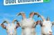Jaquette Goat Simulator 3