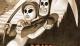 Jaquette Grim Fandango Remastered