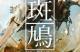 Jaquette Ikaruga