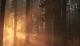 Jaquette Life is Strange 2