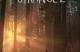 Jaquette Life is Strange 2
