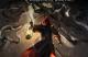 Jaquette Mandragora: Whispers of the Witch Tree