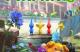 Jaquette Pikmin 4