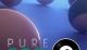 Jaquette Pure Pool