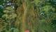 Jaquette Secret of Mana