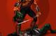 Jaquette Shadow Warrior
