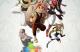 Jaquette Shiness: The Lightning Kingdom