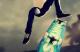 Jaquette Skate City