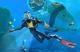 Jaquette Subnautica