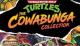 Jaquette Teenage Mutant Ninja Turtles: The Cowabunga Collection