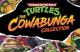 Jaquette Teenage Mutant Ninja Turtles: The Cowabunga Collection