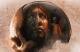 Jaquette The Dark Pictures Anthology: House of Ashes