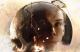 Jaquette The Dark Pictures Anthology: Little Hope