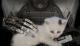 Jaquette The Talos Principle