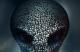 Jaquette XCOM 2