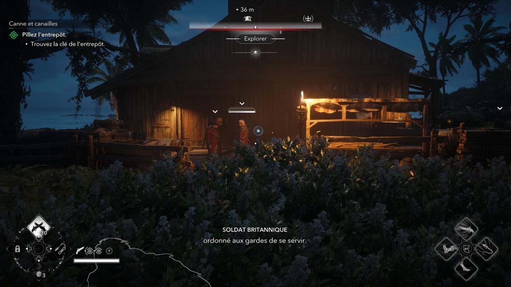 Image d'Assassin's Creed Black Flag Resynced
