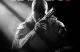 Jaquette Call of Duty: Black Ops II