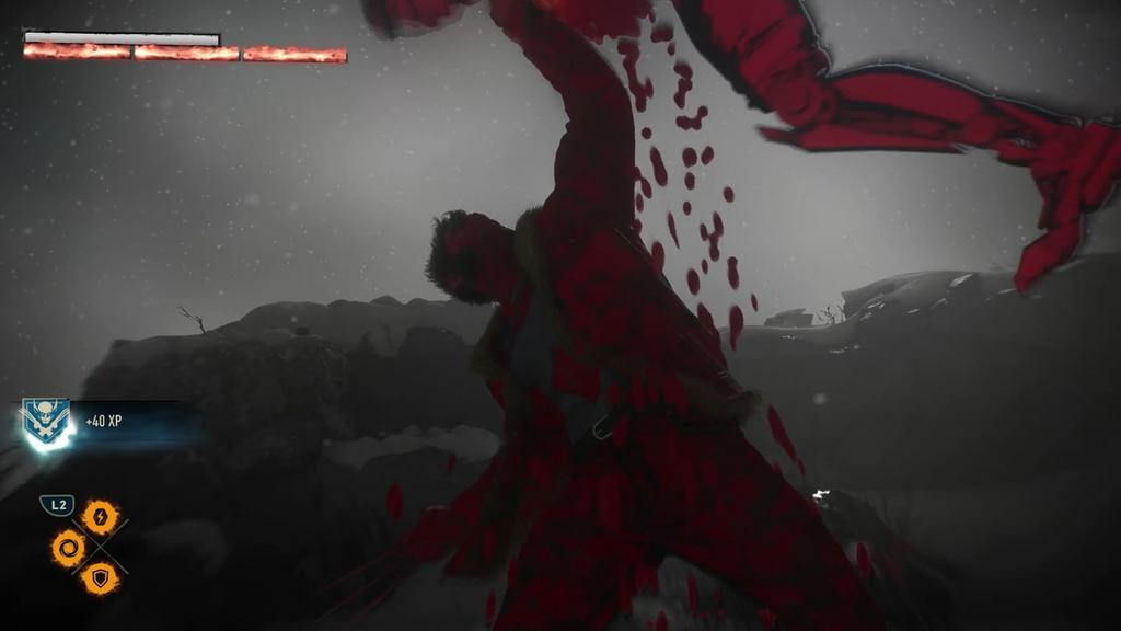 Image d'un finisher en combat