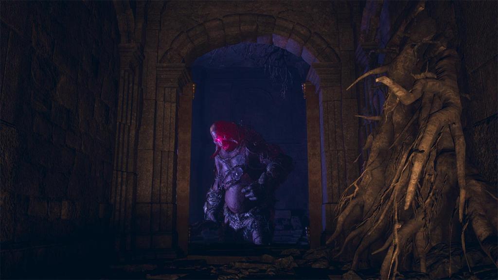 Capture d'écran Dragon's Dogma 2: Dark Arisen