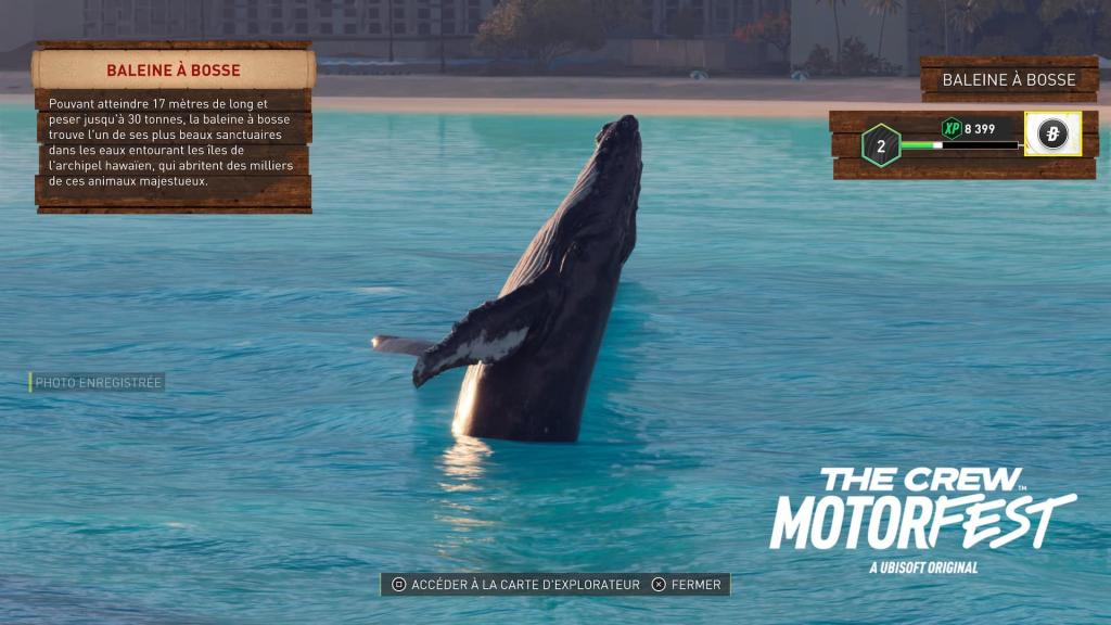 The Crew Motorfest Année 4 - Challenges